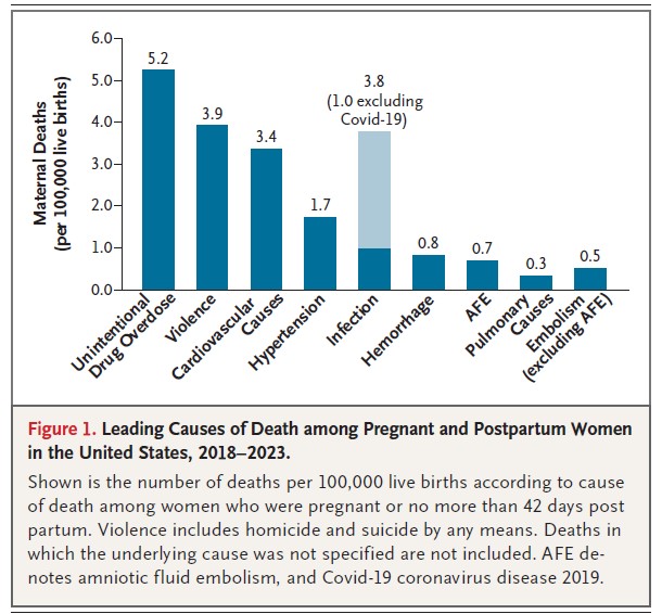 Neue Studie: Nicht-medizinische Ursachen spielen große Rolle bei Müttersterblichkeit